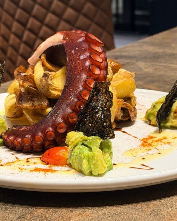 Rejo de pulpo en Costa Varadero